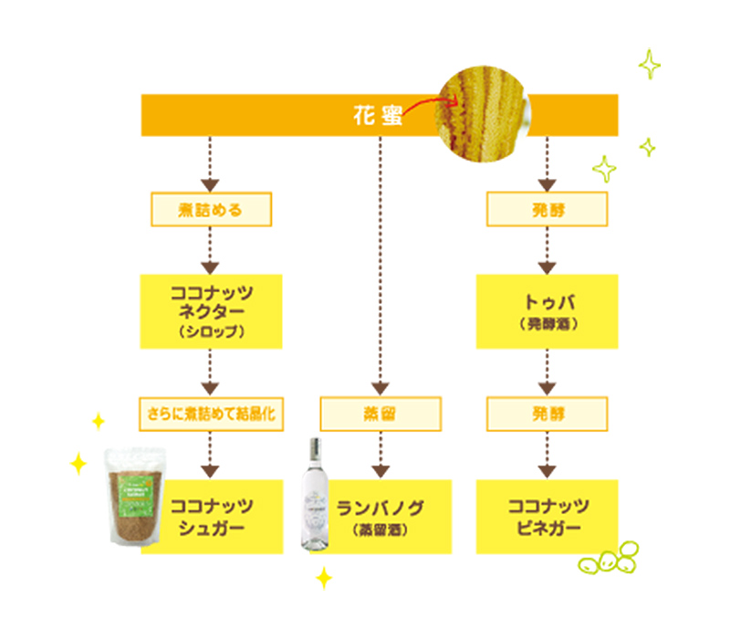花蜜からできるココナッツ製品