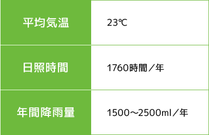 比較表