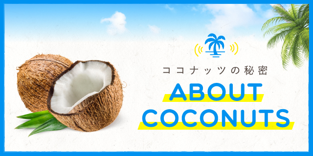 ココナッツの秘密